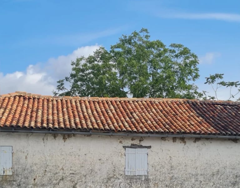 White-walled building with terracotta tiled roof and wooden doors under blue sky with green tree in background