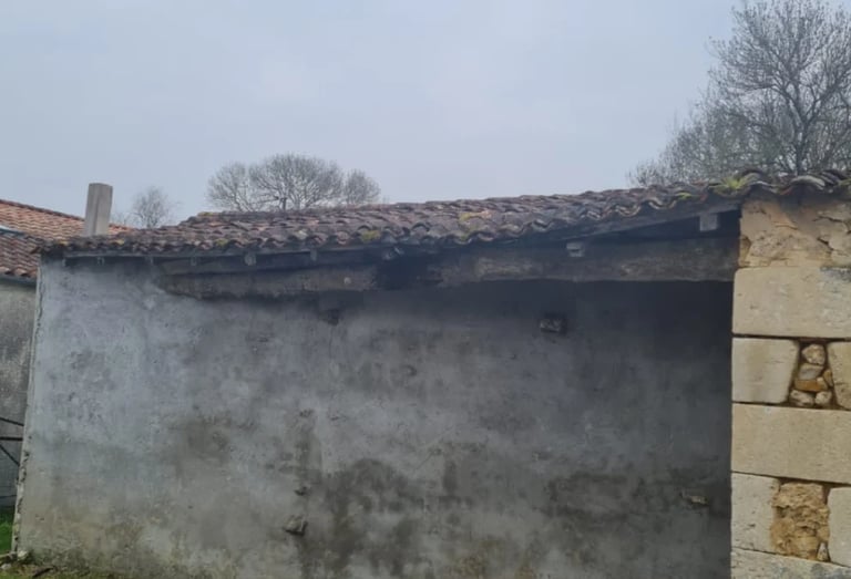Weathered stone building with deteriorating roof and bare trees in misty background, rural setting